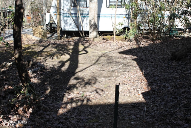 299 Harmony Way, Cosby, TN 37722 - view of yard