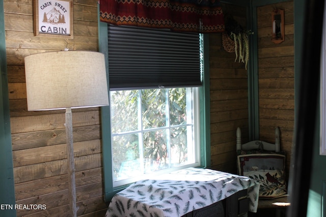 299 Harmony Way, Cosby, TN 37722 - bedroom featuring wood walls and multiple windows
