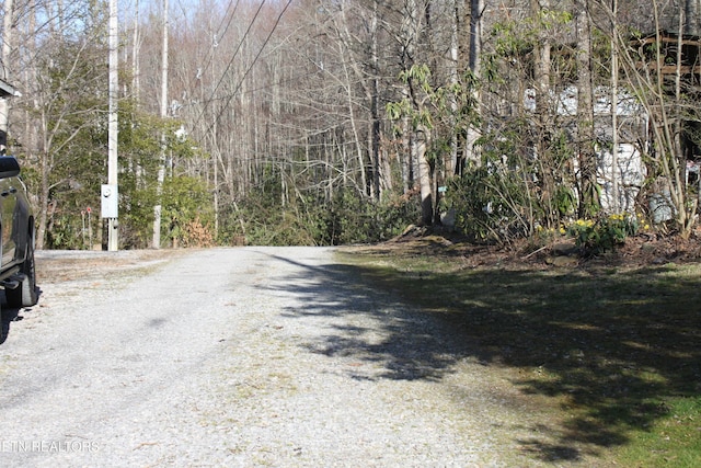299 Harmony Way, Cosby, TN 37722 - view of dirt / gravel road featuring a wooded view