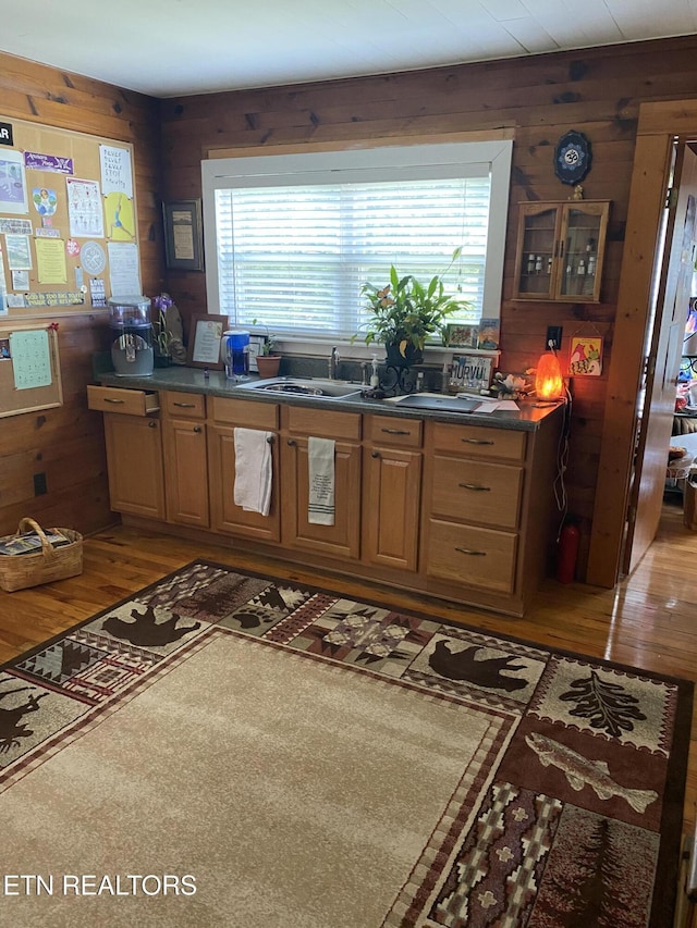 kitchen featuring light wood finished floors, wooden walls, a healthy amount of sunlight, and a sink