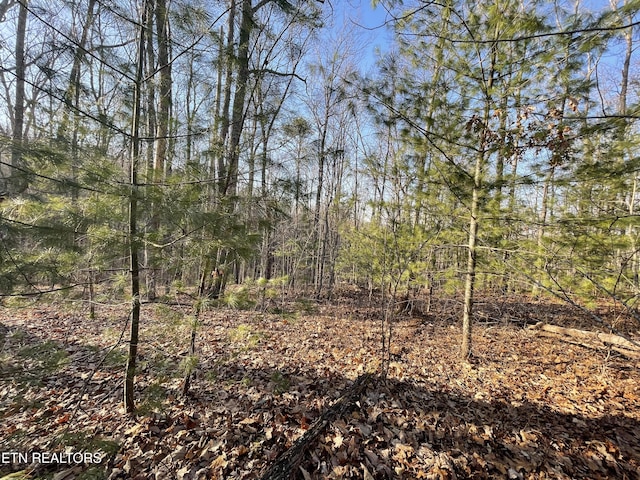 20AC Cooper Hollow Rd, Tellico Plains, TN 37385