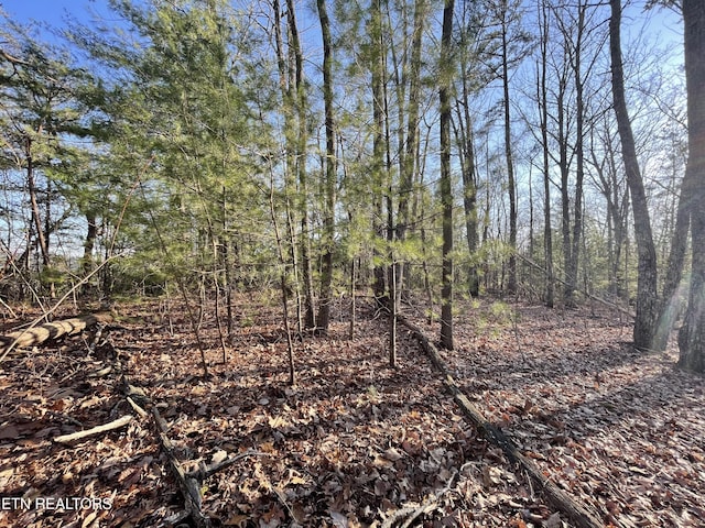 20AC Cooper Hollow Rd, Tellico Plains, TN 37385