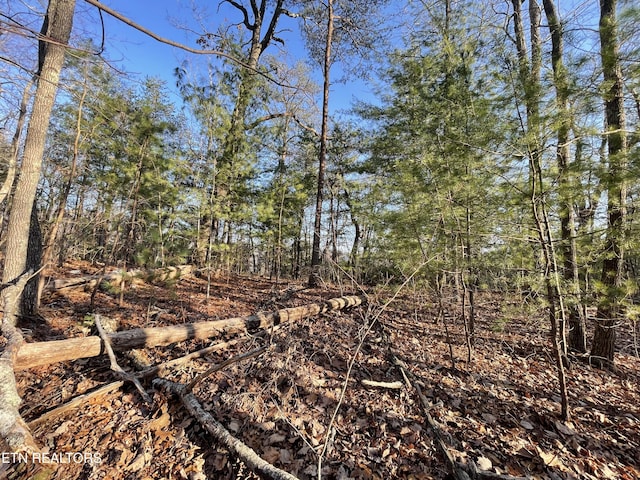 20AC Cooper Hollow Rd, Tellico Plains, TN 37385