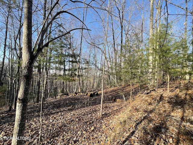 20AC Cooper Hollow Rd, Tellico Plains, TN 37385