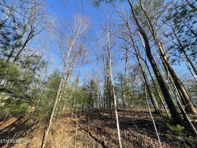 20AC Cooper Hollow Rd, Tellico Plains, TN 37385