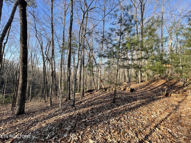20AC Cooper Hollow Rd, Tellico Plains, TN 37385