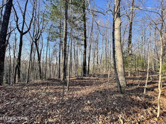 20AC Cooper Hollow Rd, Tellico Plains, TN 37385