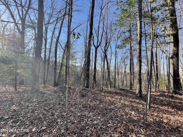 20AC Cooper Hollow Rd, Tellico Plains, TN 37385
