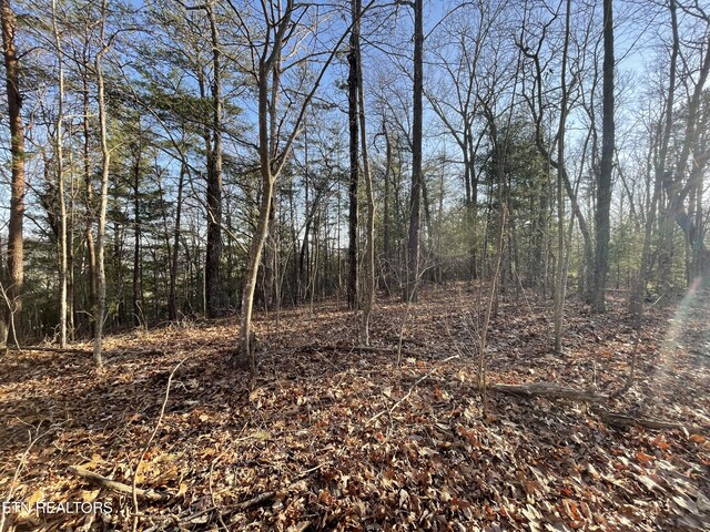 20AC Cooper Hollow Rd, Tellico Plains, TN 37385