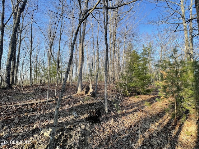 20AC Cooper Hollow Rd, Tellico Plains, TN 37385