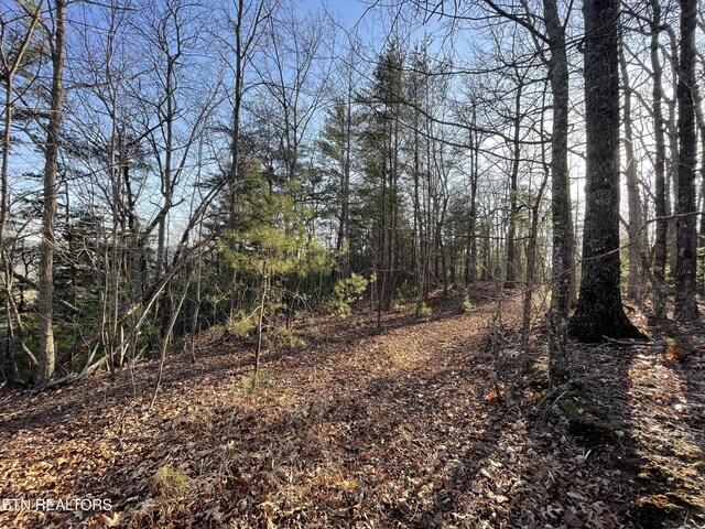 20AC Cooper Hollow Rd, Tellico Plains, TN 37385