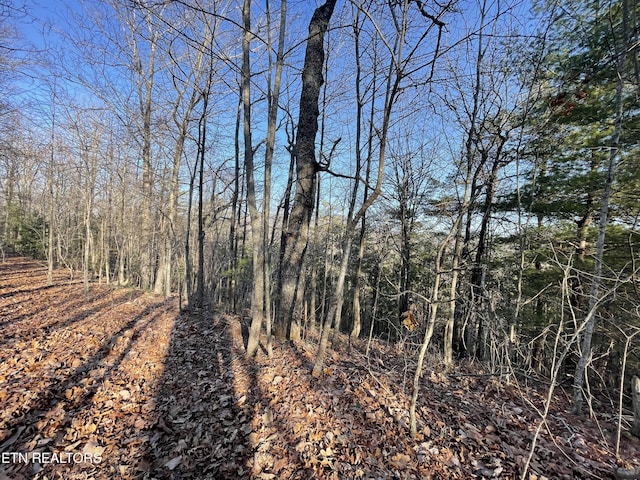 20AC Cooper Hollow Rd, Tellico Plains, TN 37385