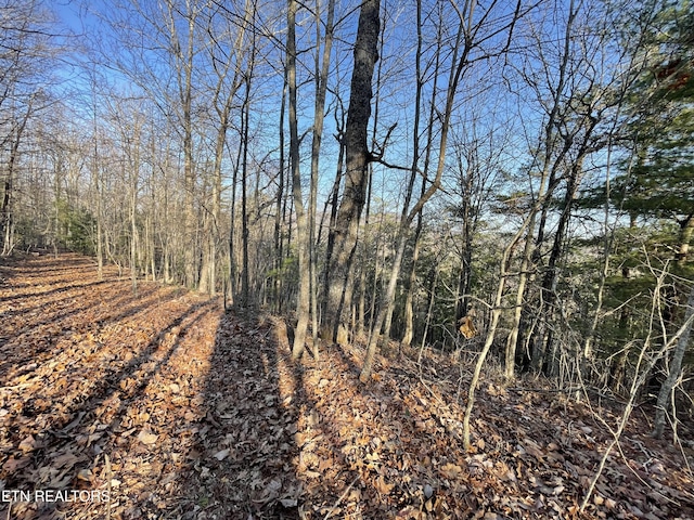 20AC Cooper Hollow Rd, Tellico Plains, TN 37385