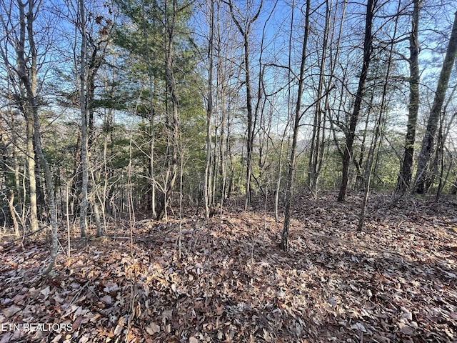 20AC Cooper Hollow Rd, Tellico Plains, TN 37385