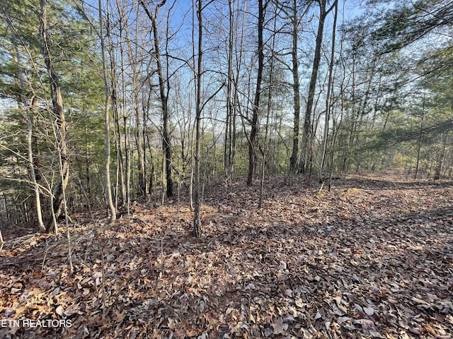 20AC Cooper Hollow Rd, Tellico Plains, TN 37385