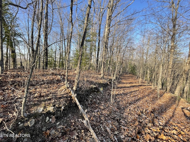 20AC Cooper Hollow Rd, Tellico Plains, TN 37385