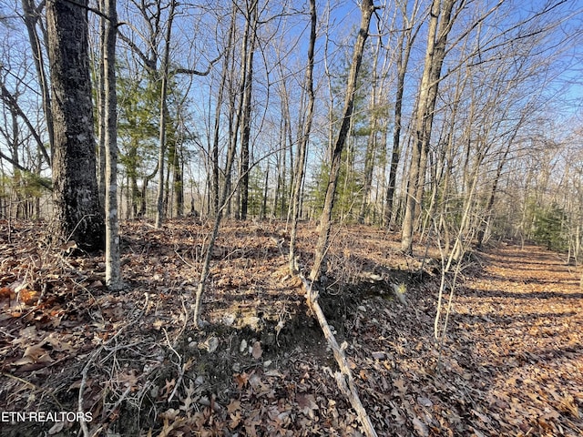 20AC Cooper Hollow Rd, Tellico Plains, TN 37385
