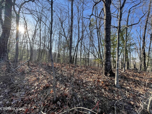 20AC Cooper Hollow Rd, Tellico Plains, TN 37385