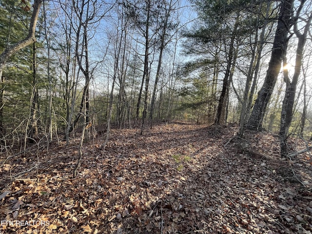20AC Cooper Hollow Rd, Tellico Plains, TN 37385
