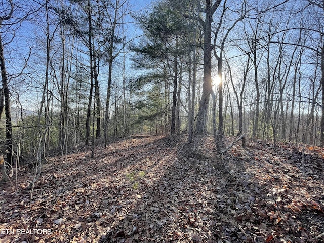 20AC Cooper Hollow Rd, Tellico Plains, TN 37385