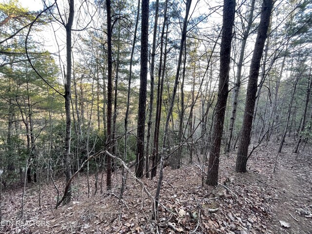 20AC Cooper Hollow Rd, Tellico Plains, TN 37385