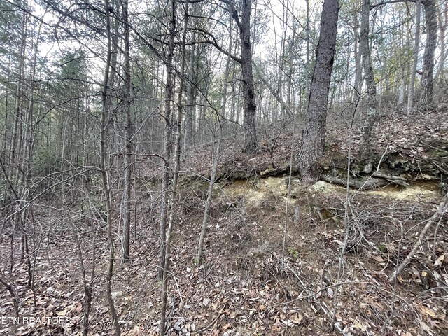 20AC Cooper Hollow Rd, Tellico Plains, TN 37385