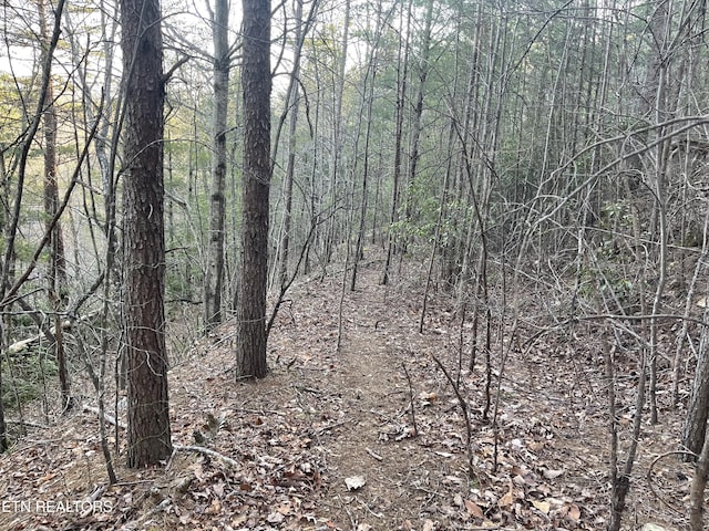20AC Cooper Hollow Rd, Tellico Plains, TN 37385