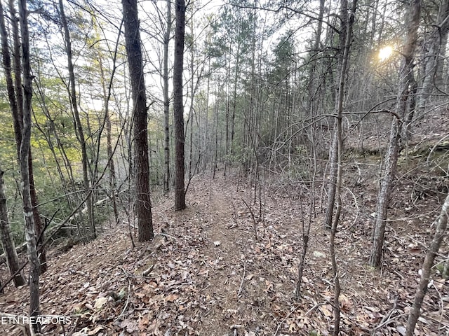 20AC Cooper Hollow Rd, Tellico Plains, TN 37385