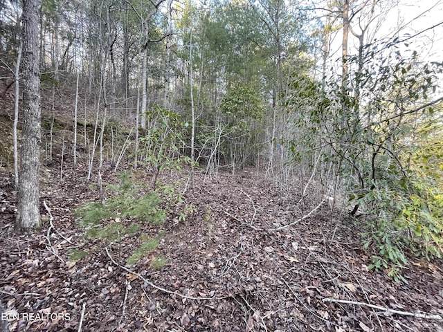 20AC Cooper Hollow Rd, Tellico Plains, TN 37385