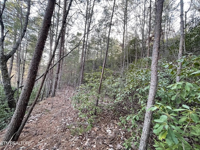 20AC Cooper Hollow Rd, Tellico Plains, TN 37385