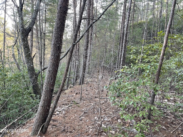 20AC Cooper Hollow Rd, Tellico Plains, TN 37385