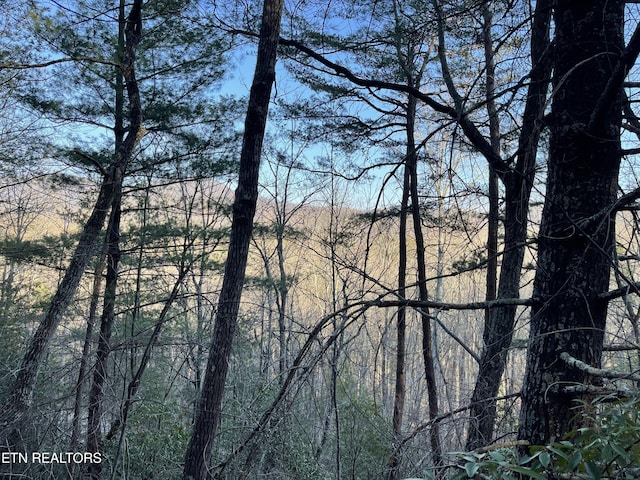 20AC Cooper Hollow Rd, Tellico Plains, TN 37385