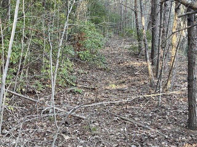 20AC Cooper Hollow Rd, Tellico Plains, TN 37385