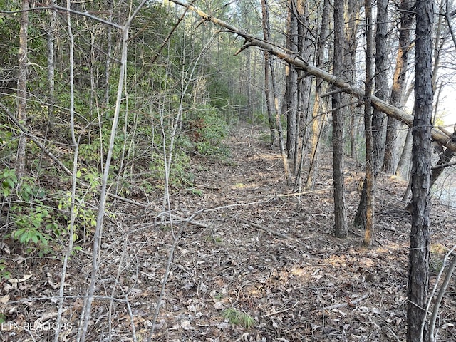 20AC Cooper Hollow Rd, Tellico Plains, TN 37385