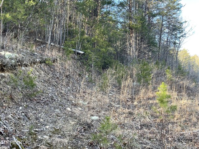 20AC Cooper Hollow Rd, Tellico Plains, TN 37385