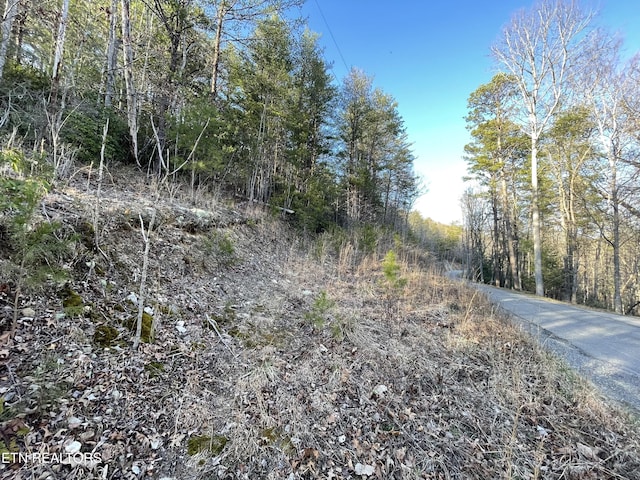 20AC Cooper Hollow Rd, Tellico Plains, TN 37385