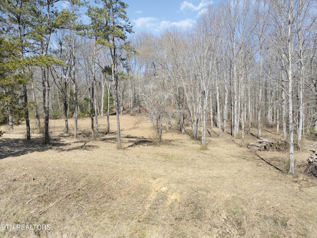 Listing photo 2 for 58 W End Rd, Rockwood TN 37854