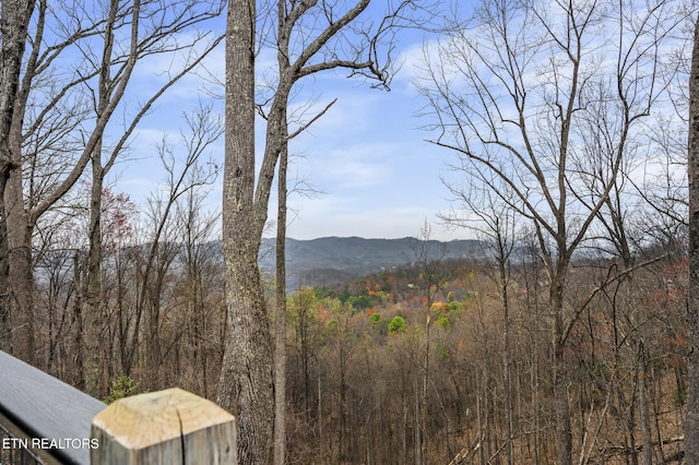 property view of mountains with a view of trees