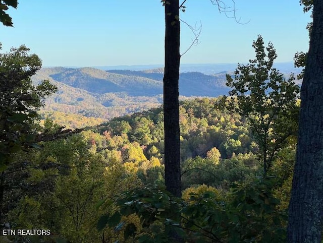 mountain view with a wooded view