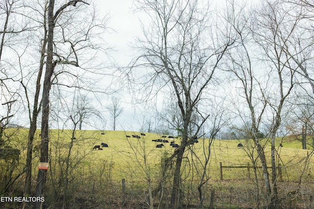 view of local wilderness featuring a rural view