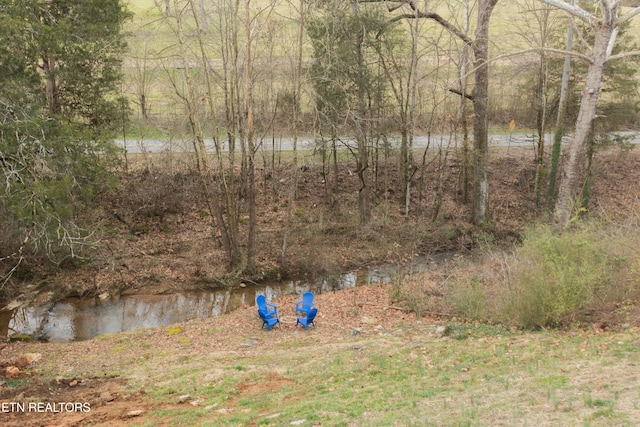 view of yard with a water view