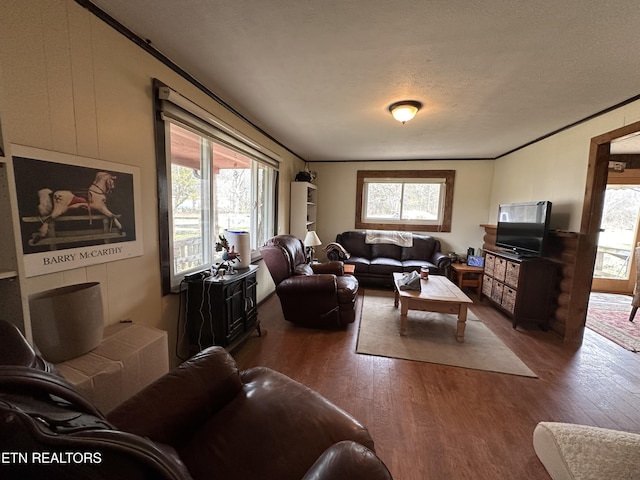 living room with ornamental molding, wood finished floors, and a textured ceiling