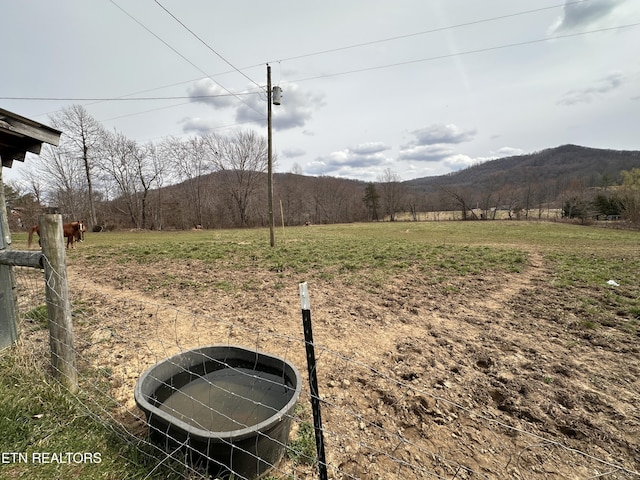 view of yard featuring a mountain view and a rural view