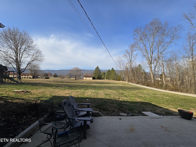 view of yard with a patio and a playground