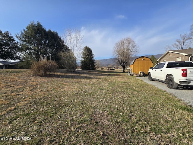 view of yard featuring a storage shed and an outdoor structure