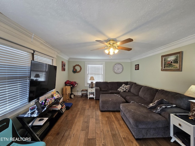 living room with hardwood / wood-style floors, crown molding, ceiling fan, and a textured ceiling