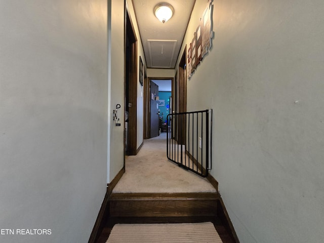 staircase featuring attic access, carpet flooring, and baseboards