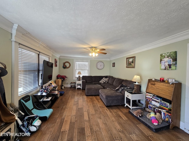 living area featuring hardwood / wood-style floors, crown molding, and plenty of natural light