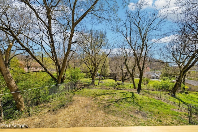 view of yard with fence