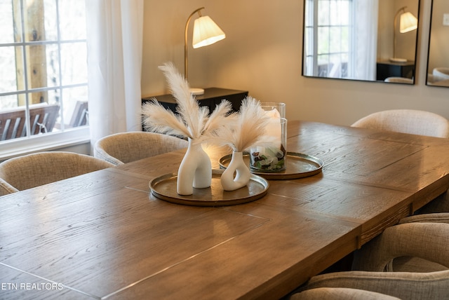 dining area featuring plenty of natural light